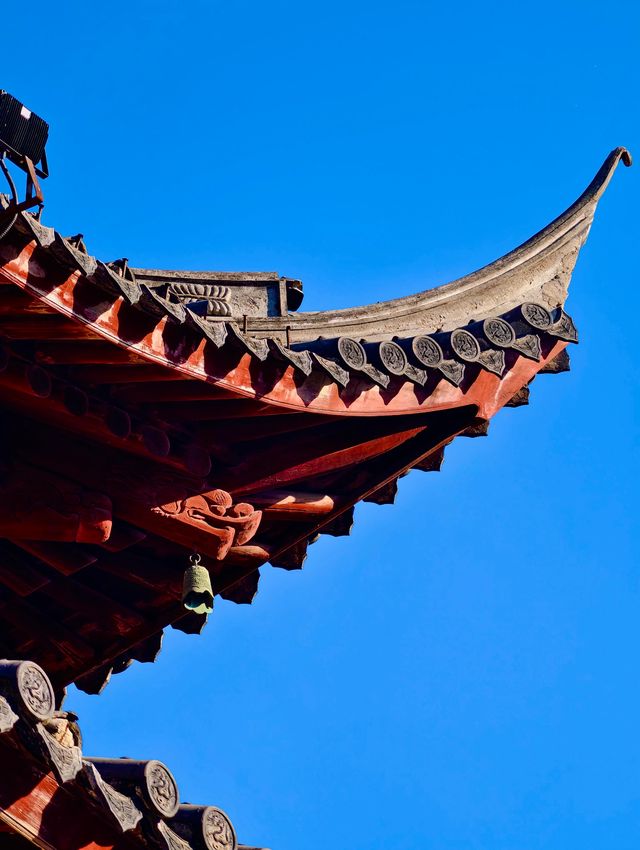 古剎追秋|北宋古寺、銀杏還有貓貓誰說秋意只在枝頭? 古剎追秋|北宋古寺、銀杏還有貓貓誰說秋意只在枝頭?