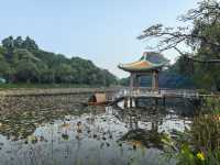 肇慶七星岩|闖入仙氣縈繞的山水畫卷紅蓮橋噴霧封神! 在嶺南也能看「小桂林」!七星岩的喀斯特地貌+