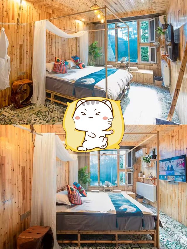 廬山杉與山青!住進山霧裡的神仙民宿 廬山杉與山青!住進山霧裡的神仙民宿