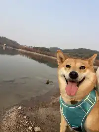 12.1實況live紹興鳳凰山美翻了!!!!!!