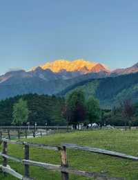 探秘西藏魯朗林海:來了就不想走的東方瑞士