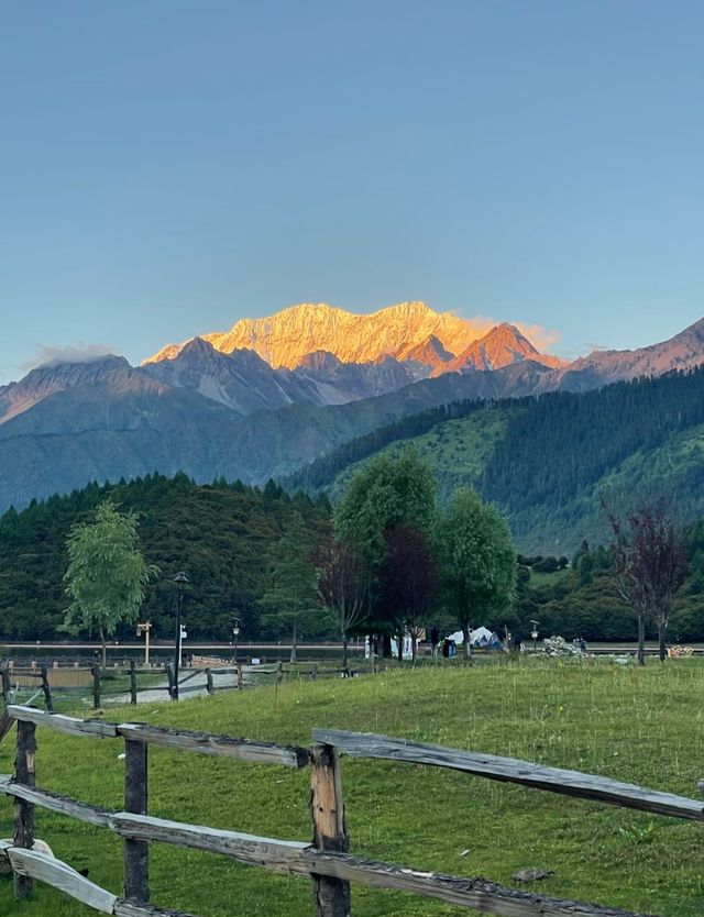 探秘西藏魯朗林海:來了就不想走的東方瑞士 探秘西藏魯朗林海:來了就不想走的東方瑞士