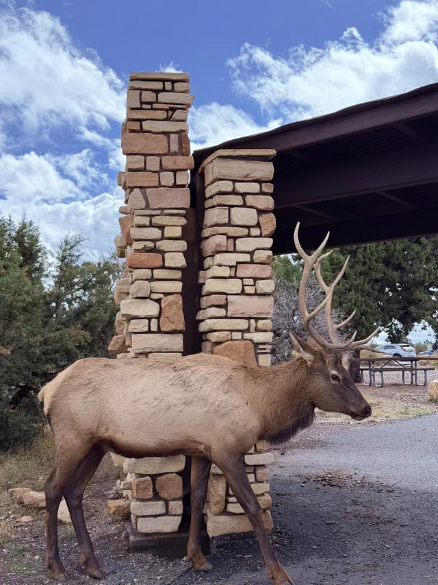 三個女生的美西自駕遊Day8-下篇 三個女生的美西自駕遊Day8-下篇