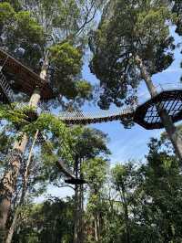 泰國5日遊 人均3k玩到嗨