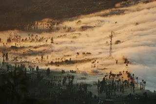 Questioning a night raid on Bromo? Until I saw the thick fog turn into poetic ink wash