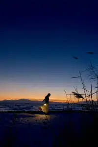 請大數據推給冬季要去新疆賽里木湖的人