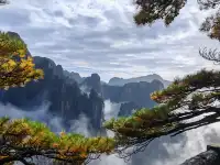 蕪湖黃山四日遊