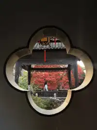 何園的雞爪槭，已經進入「高光時刻」