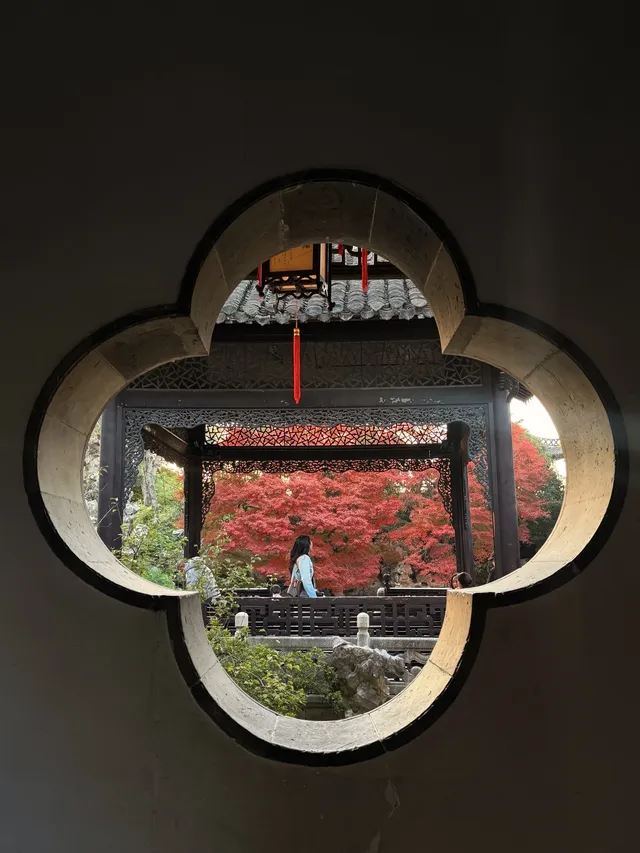 何園的雞爪槭，已經進入「高光時刻」