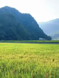 湖北宜昌市長陽縣清江邊好玩的地方彙總