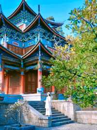 赴一場木府之約