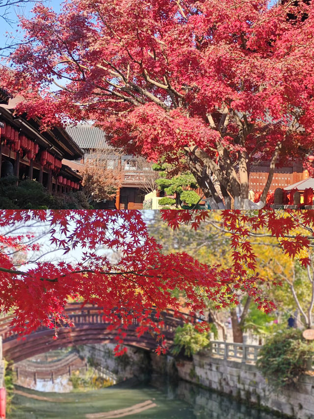 深秋的廣富林|把江南詩意焊在骨子裡的絕美打卡地 深秋的廣富林|把江南詩意焊在骨子裡的絕美打卡地