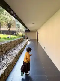 三清山|在山裡放空是一件很浪漫的事