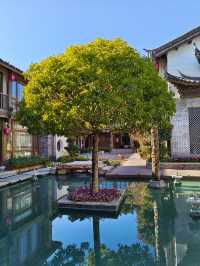 泊心雲舍 · 麗江古城花夢慢旅指南 住進花神的庭院推開泊心