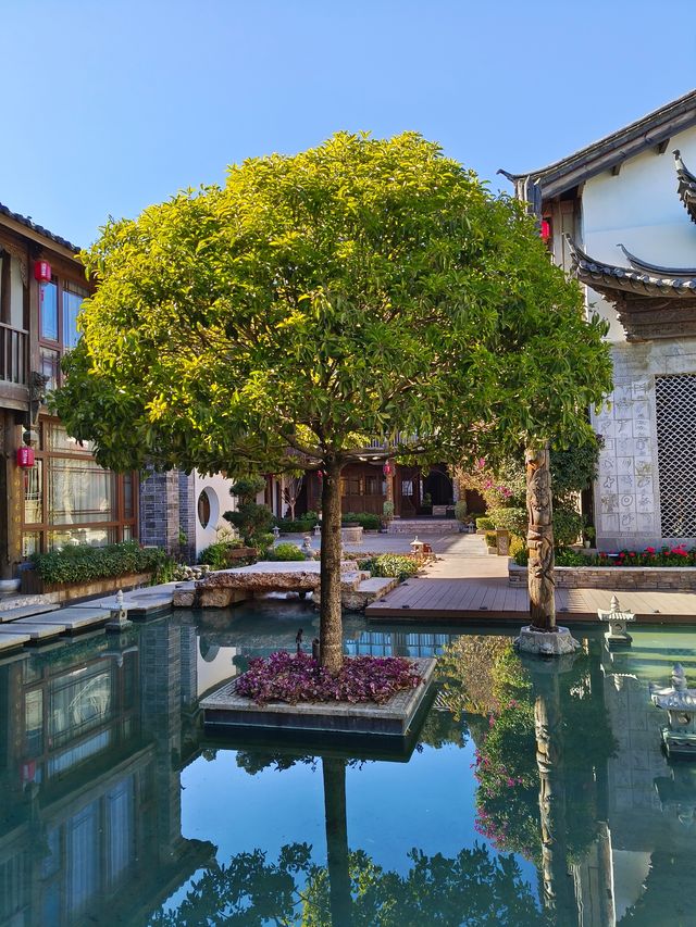 泊心雲舍 · 麗江古城花夢慢旅指南 住進花神的庭院推開泊心 泊心雲舍 · 麗江古城花夢慢旅指南 住進花神的庭院推開泊心