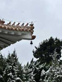 冬日的童話世界