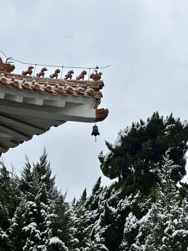 冬日的童話世界 冬日的童話世界