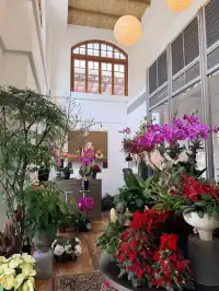 淺水灣|遇見影灣園的聖誕