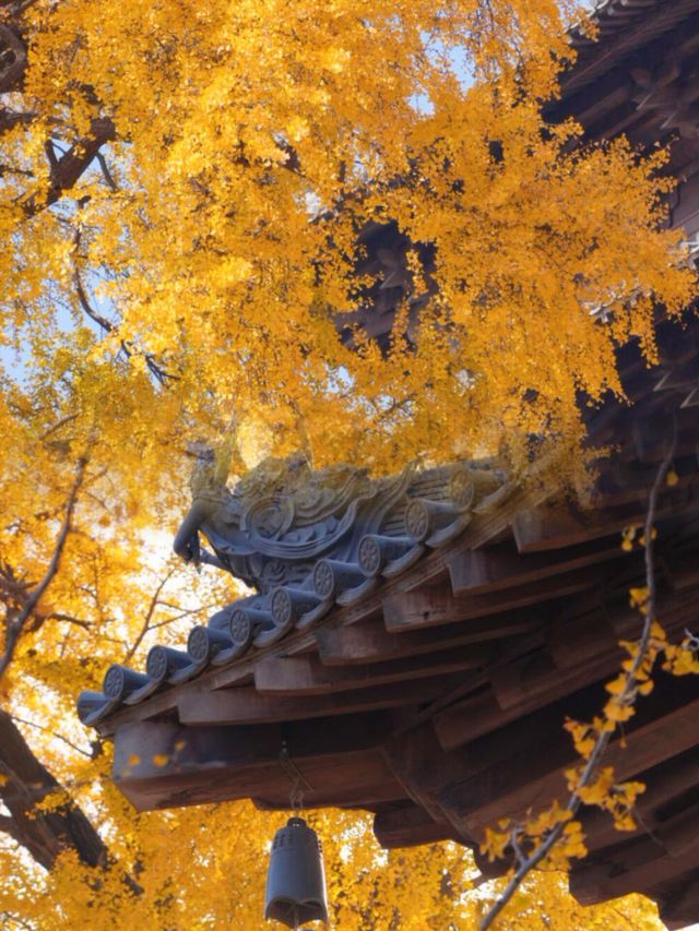 迄今為止,我最愛的江南古鎮出現啦 迄今為止,我最愛的江南古鎮出現啦