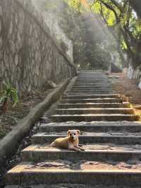 冬日泉州｜清源山的絕美夕陽剪影