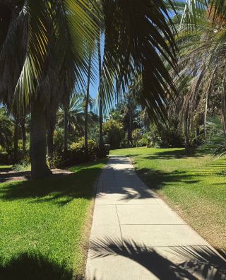 로스앤젤레스 헌팅턴 라이브러리 | 2시간의 힐링