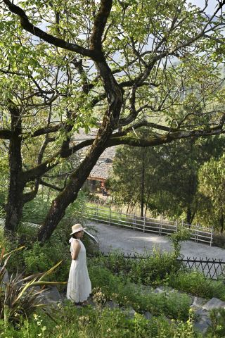 ‘쯔양’을 알았다면, 왜 모간산을 세 번이나 가서 누워만 있었을까