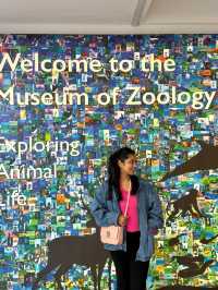 Amazing Visit to Cambridge's Museum of Zoology