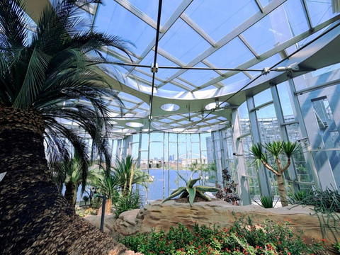 Shanghai's hidden gem | Underwater forest and greenhouse