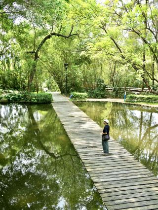 Shenzhen really doesn’t lack beautiful parks (collection)