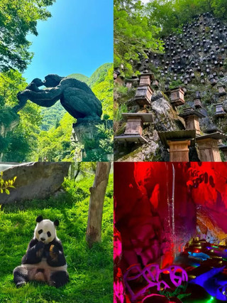 2天玩轉神農架-宜昌親測不踩雷的省心攻略