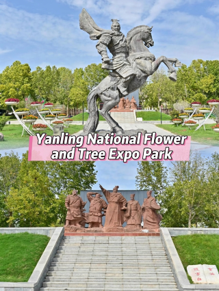 Central Plains Flower and Tree Expo Park | Yanling Flower Expo Park: A Four-Season Flower Viewing and Leisure Travel Guide - Basic Travel Information: Address: 311 National Highway, Yanling County, Xuchang City