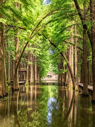 Escape the summer heat in Jiangsu, Zhejiang, and Shanghai! A two-day trip to Xinghua brings the lotus ponds of Jiangnan to life. Who understands this?! Xinghua is truly severely underrated. Ancient poems describe it as "lotus leaves stretching to the sky without end."