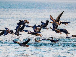 Lakeside in Southern Hebei, a sunset destination | Yiquan Lake Scenic Area travel guide Location: Ci County, Handan City, a large lake at the source of the Fuyang River, a national water conservancy