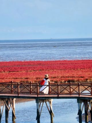 9月に紅海灘国家風景廊道を訪れて、赤い海岸線の秋の絶景に出会う旅へ
