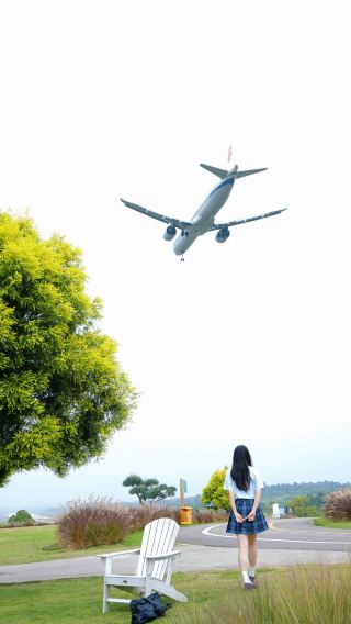 ทะเลดอกไม้ฤดูใบไม้ร่วงที่ Airport Flower Field เข้าสู่ช่วงที่สวยที่สุดแล้ว 🌸