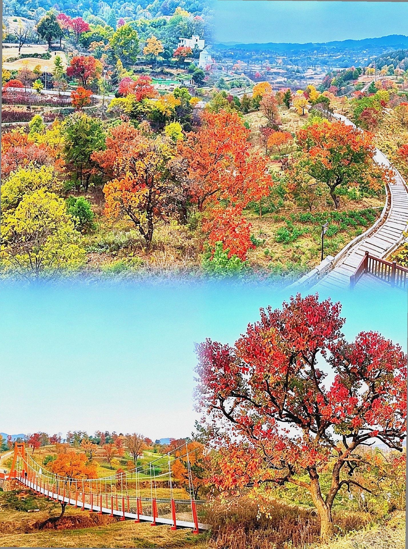 Autumn Hidden Gems Around Hubei | 4 Niche Treasure Spots That Peak Starting in September