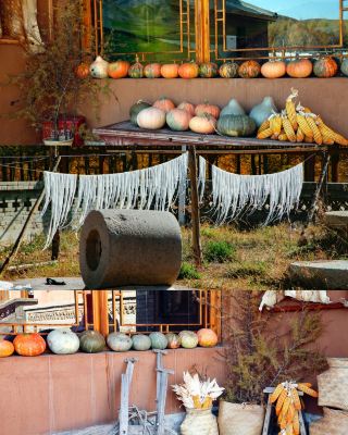 3-hour road trip from Beijing to Colorful Forest! The ultimate guide to the Bashang Autumn Harvest Festival