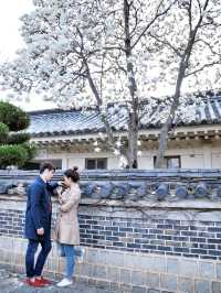 곧 목련이 피어날 경주 보문단지의 히든스팟📸