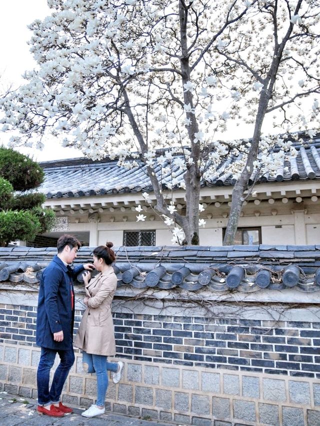 곧 목련이 피어날 경주 보문단지의 히든스팟📸