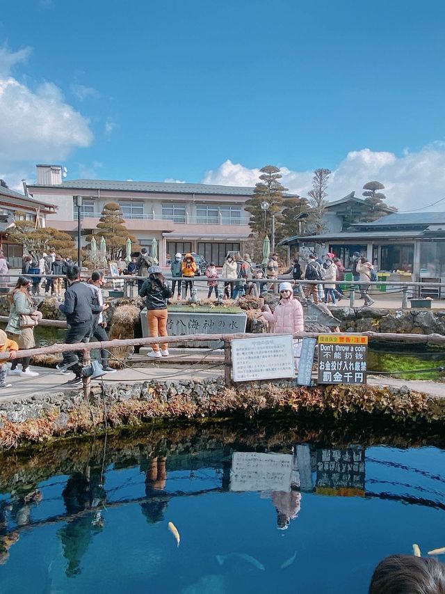 到忍野八海一遊  無時無刻置身如畫風光 