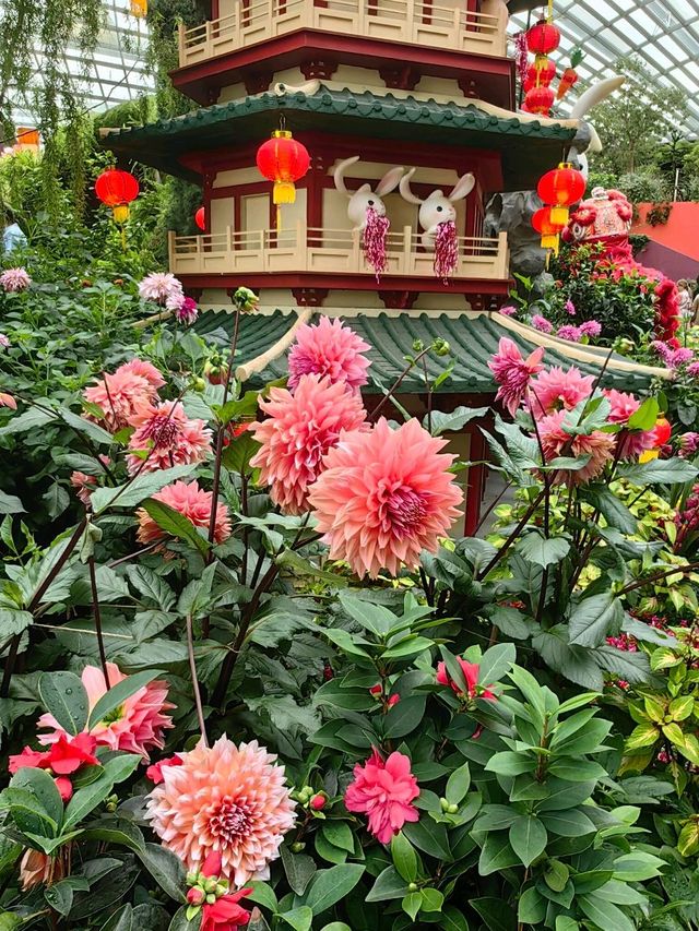 Dahlia Dreams @GardensByTheBay