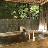 性格比極高的金湯溫泉旅館