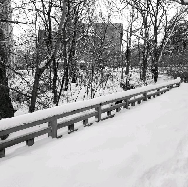 일본여행 홋카이도 나카지마공원