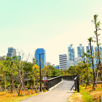 🏞️ปอดกลางกรุง