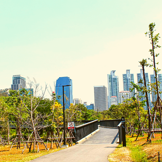 🏞️ปอดกลางกรุง