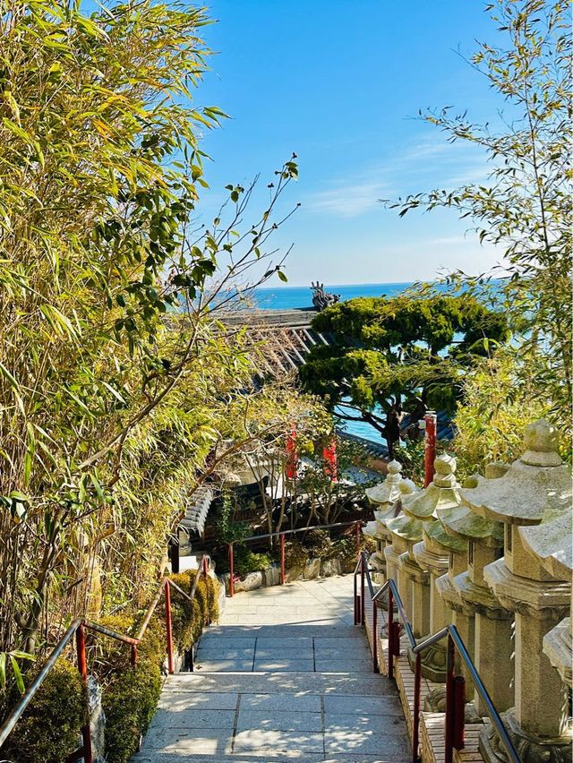 바다가 보이는 한국에서 가장 아름다운 사찰🪷
