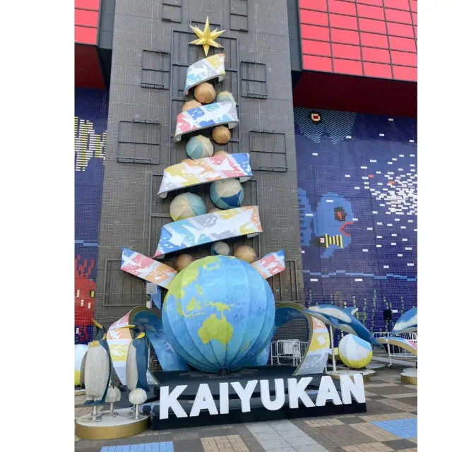 イトマキエイの観察ができるのは世界中探しても海遊館のみ！