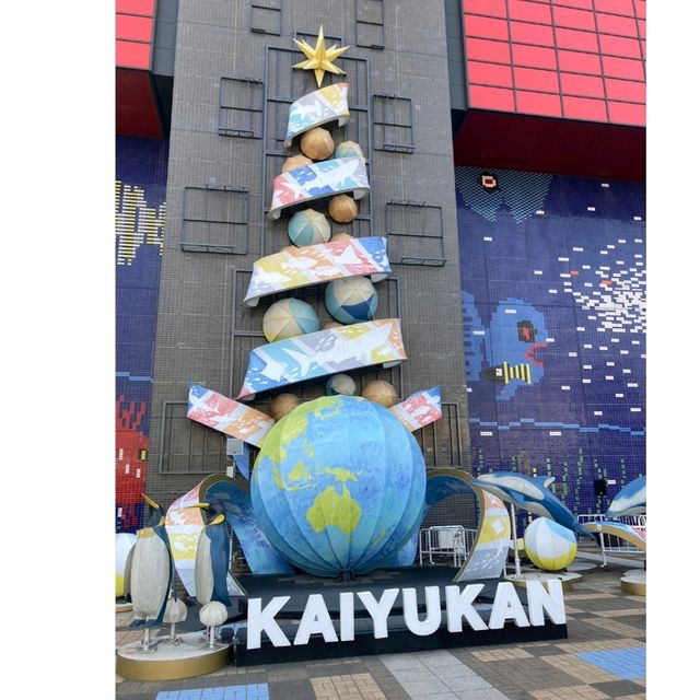 イトマキエイの観察ができるのは世界中探しても海遊館のみ！