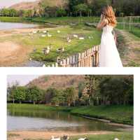 Chan nature cafe’