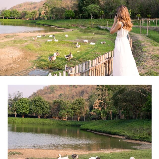 Chan nature cafe’